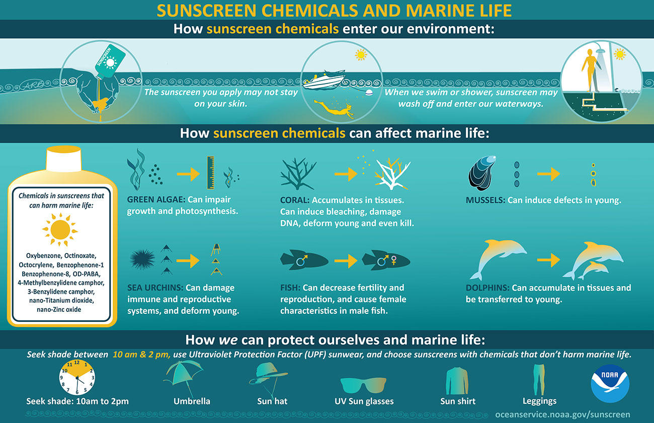 noaa-coral-sunscreen graphical user interface