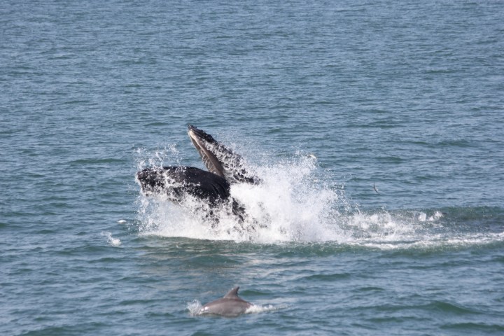 a person riding a wave on a surfboard in the water