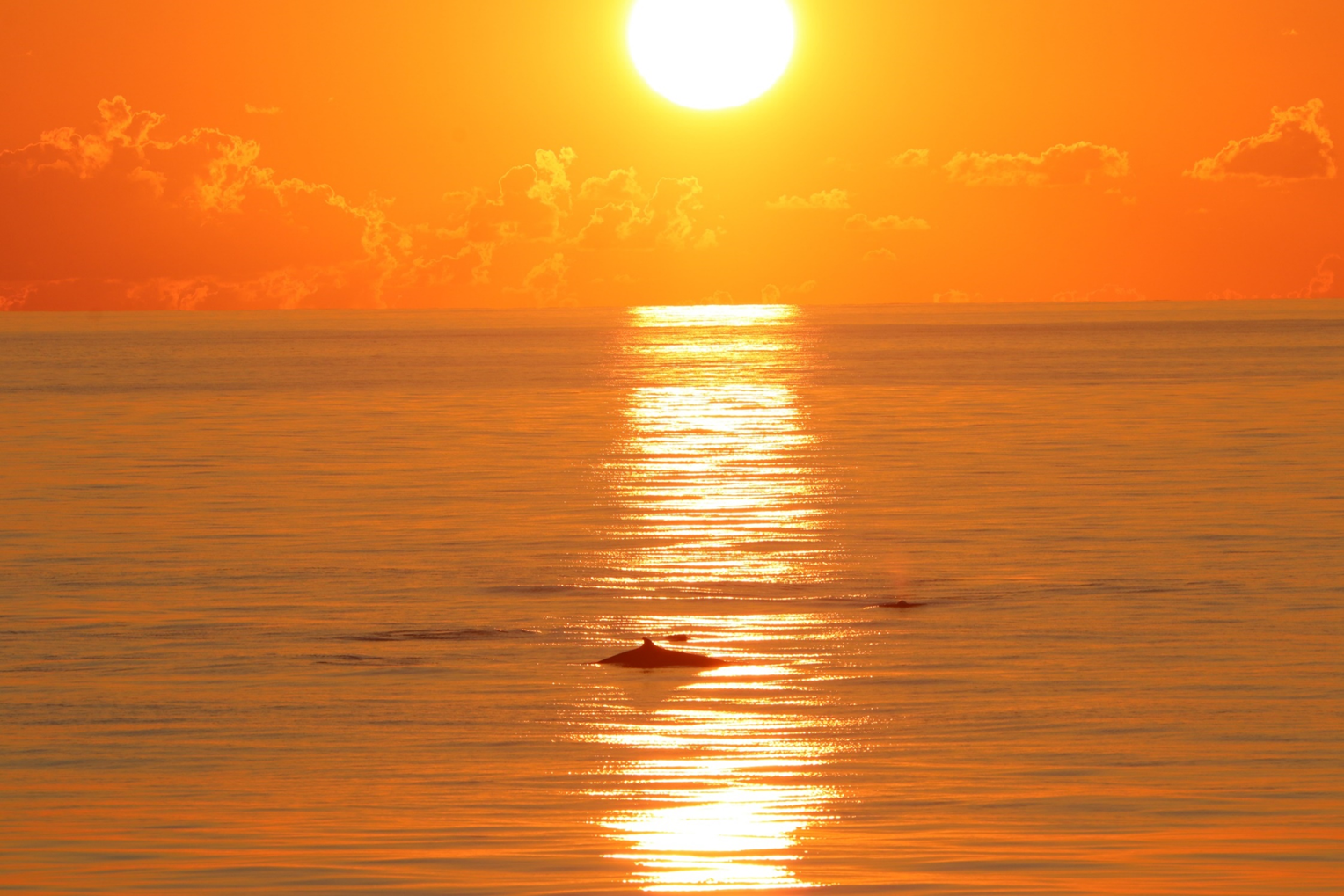 a sunset over a body of water