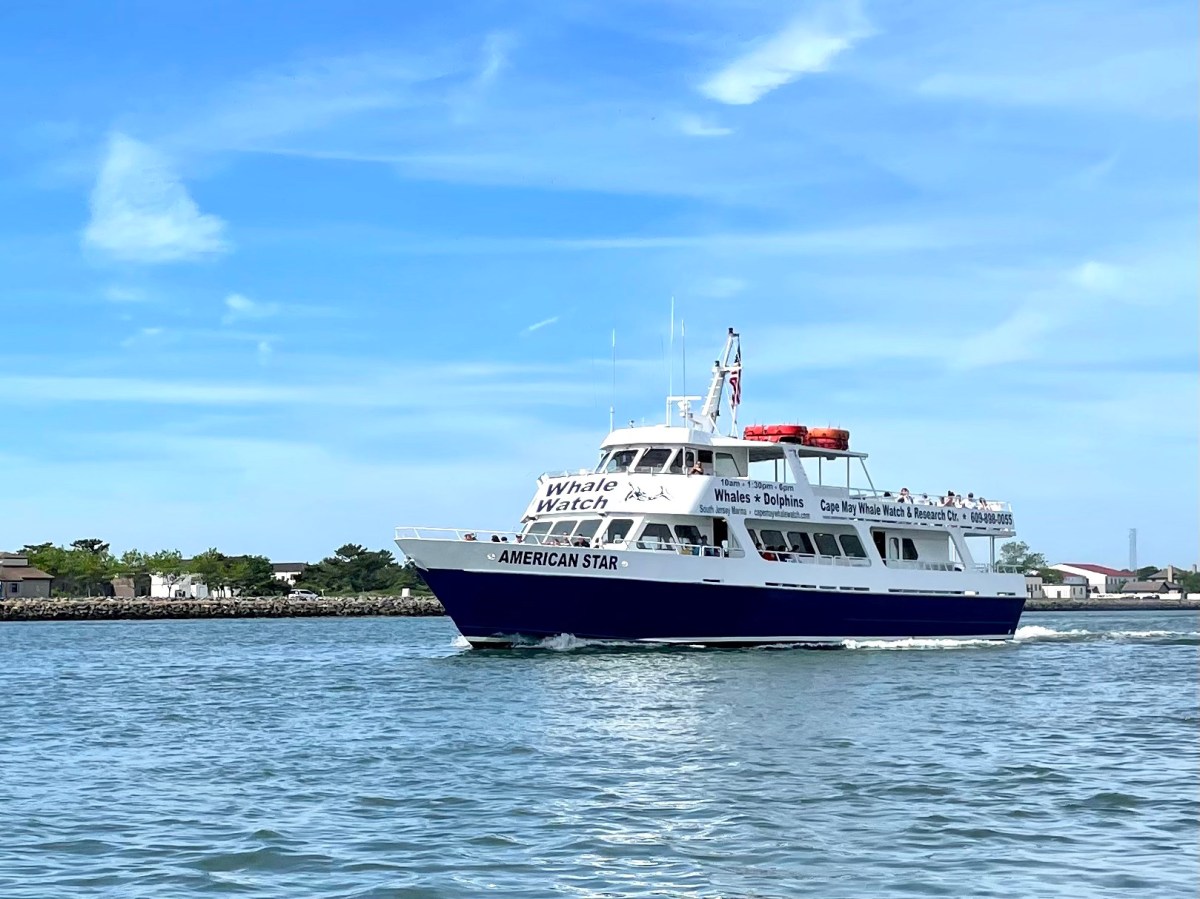 Blue and white whale watching boat on calm water under a clear sky.