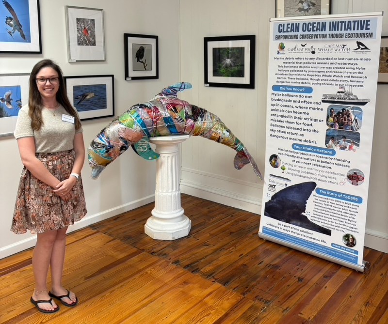 Woman standing by a colorful dolphin sculpture and an informational poster in an art gallery.