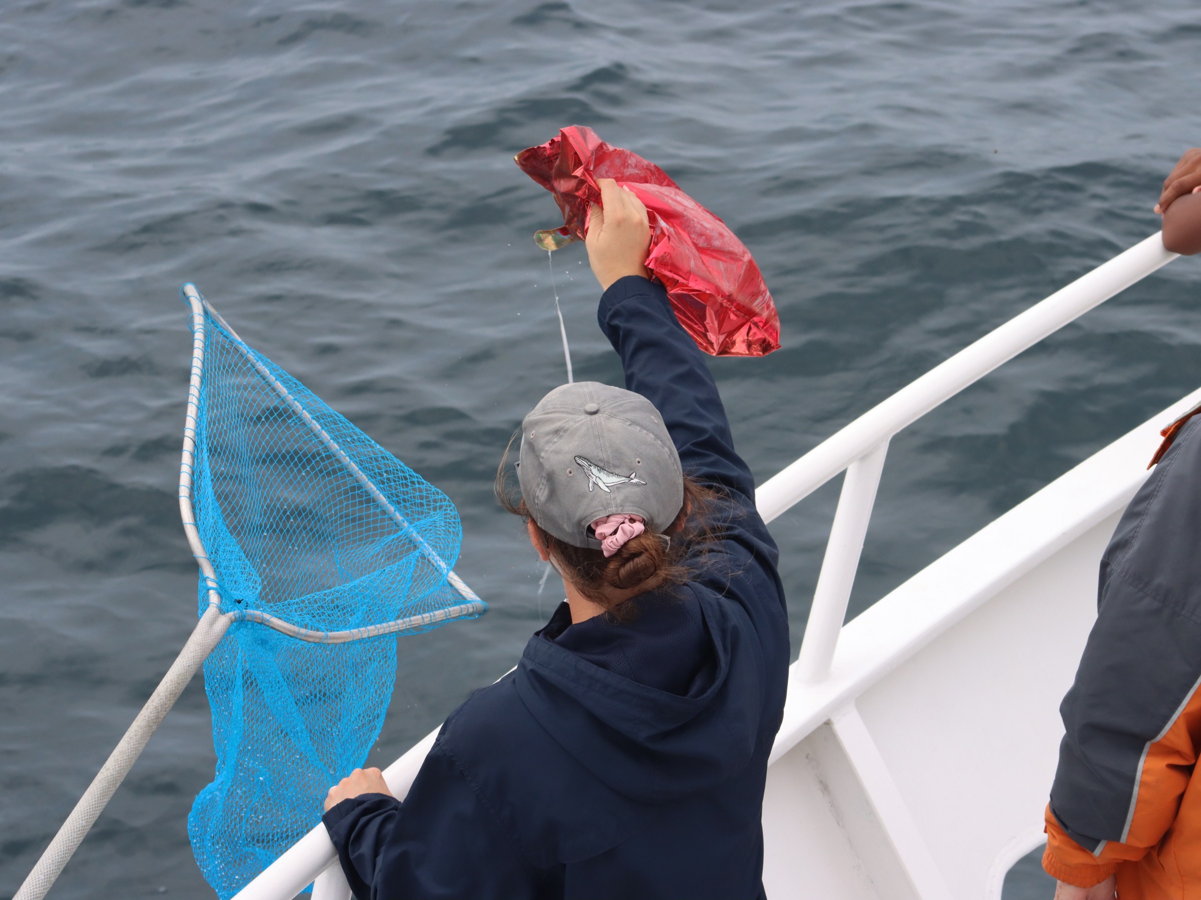 Melissa Laurino recovers a balloon from a net over water.