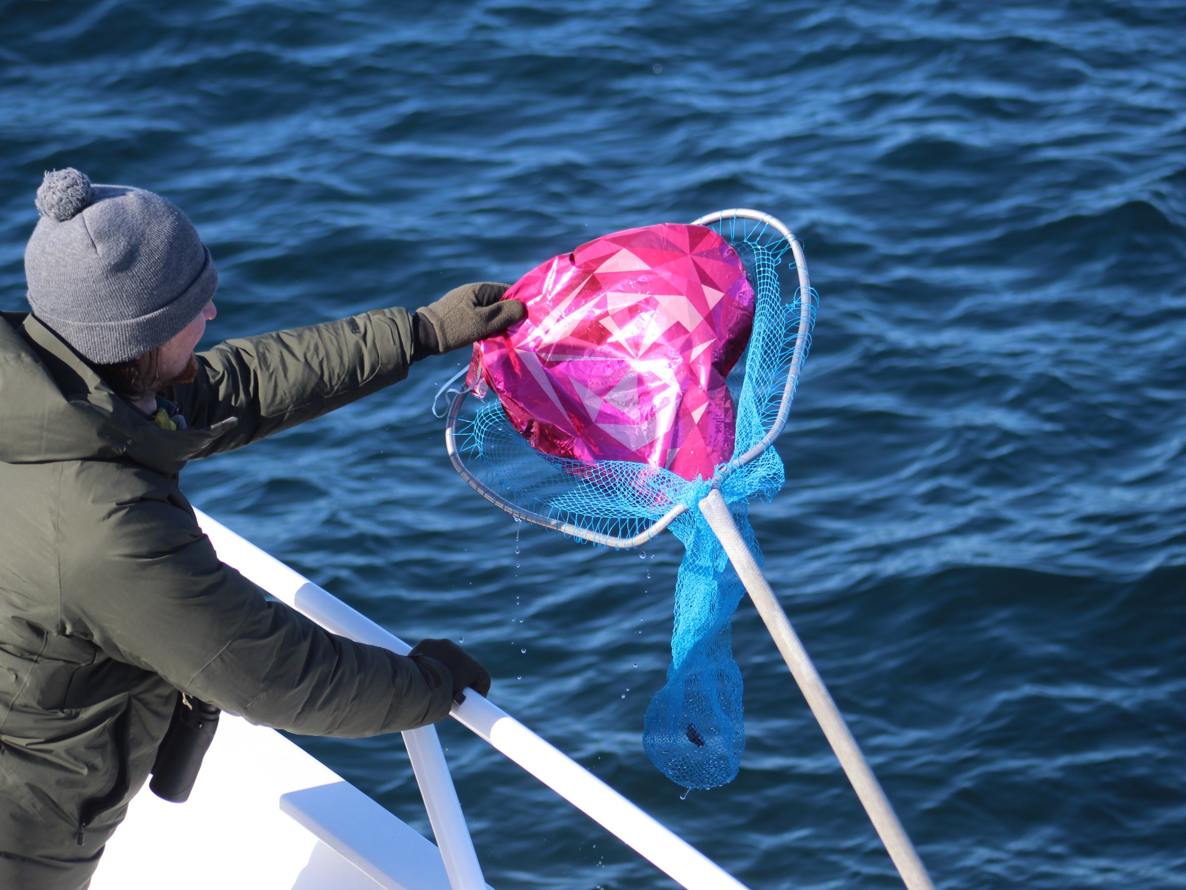 Person in a coat and beanie retrieves a pink object from the water using a net on a stick.